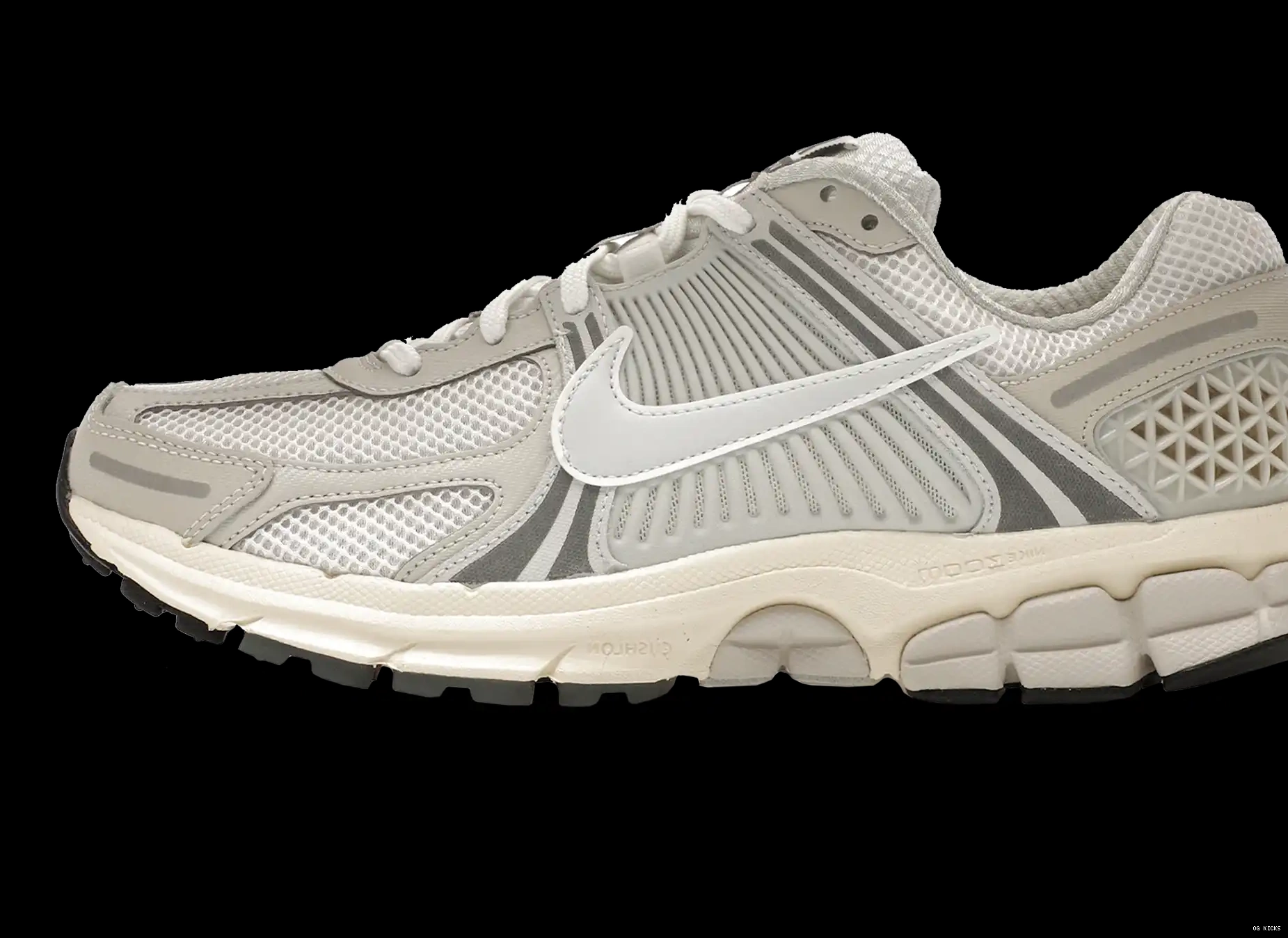 Tint Vomero Zoom Nike 5 Platinum 0619